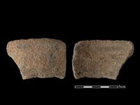 藏品(陶片)的圖片