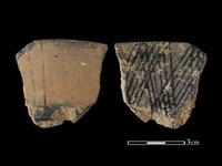 藏品(陶片)的圖片