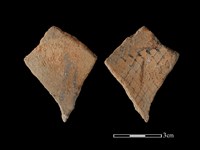 藏品(陶片)的圖片