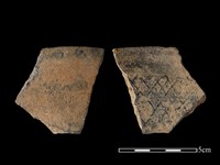 藏品(陶片)的圖片