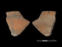 藏品(陶片)的圖片