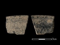 藏品(陶片)的圖片