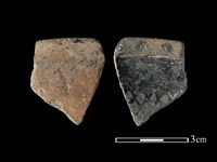 藏品(陶片)的圖片