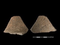 藏品(陶片)的圖片