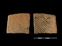 藏品(陶片)的圖片