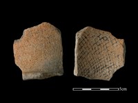 藏品(陶片)的圖片