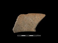 藏品(陶片)的圖片