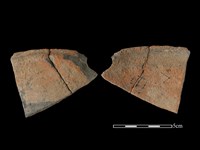 藏品(陶片)的圖片