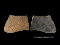 藏品(陶片)的圖片