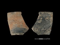 藏品(陶片)的圖片