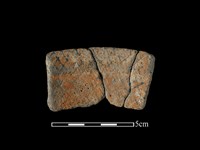 藏品(陶片)的圖片