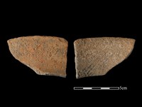 藏品(陶片)的圖片