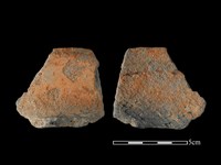 藏品(陶片)的圖片