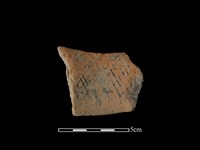 藏品(陶片)的圖片