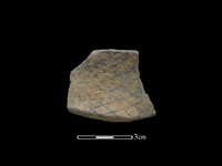 藏品(陶片)的圖片