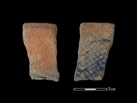 藏品(陶片)的圖片