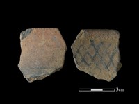 藏品(陶片)的圖片