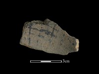 藏品(陶片)的圖片