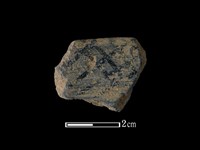 藏品(陶片)的圖片