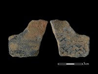 藏品(陶片)的圖片