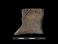 藏品(陶片)的圖片