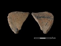 藏品(陶片)的圖片