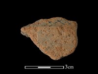 藏品(陶片)的圖片