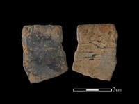 藏品(陶片)的圖片