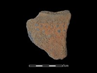 藏品(陶片)的圖片