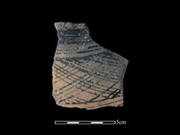 藏品(陶片)的圖片