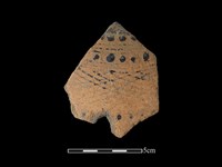 藏品(陶片)的圖片