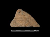 藏品(陶片)的圖片