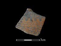 藏品(陶片)的圖片