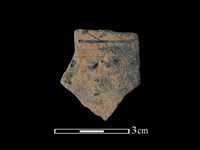 藏品(陶片)的圖片