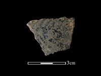 藏品(陶片)的圖片