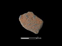 藏品(陶片)的圖片