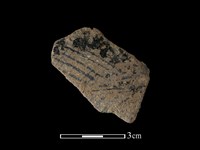 藏品(陶片)的圖片