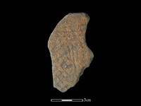 藏品(陶片)的圖片