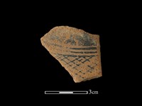 藏品(陶片)的圖片