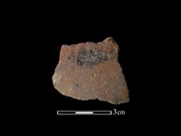 藏品(陶片)的圖片