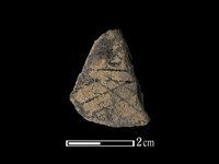 藏品(陶片)的圖片