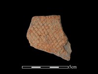 藏品(陶片)的圖片