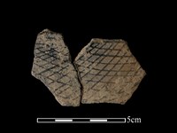 藏品(陶片)的圖片