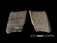 藏品(陶片)的圖片