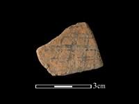 藏品(陶片)的圖片