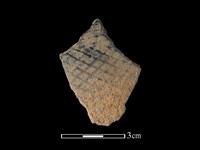 藏品(陶片)的圖片