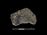 藏品(陶片)的圖片