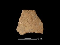 藏品(陶片)的圖片