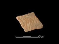 藏品(陶片)的圖片