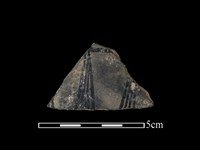 藏品(陶片)的圖片